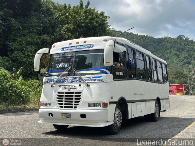 Expresos Mocot�es 11 por Leonardo Saturno