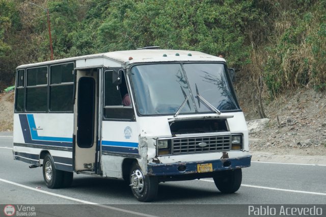 DC - Tigres de Plan de Manzano 090 por Pablo Acevedo