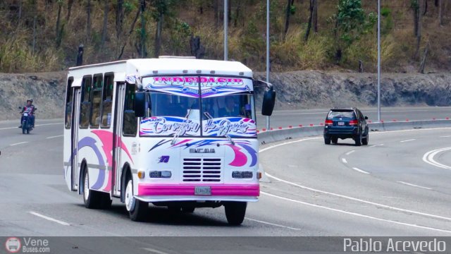 A.C. Indepasib 073 por Pablo Acevedo