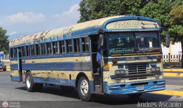 Transporte Agua Blanca 23 por Andr�s Ascanio