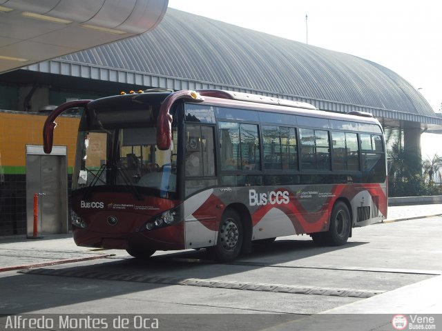 Bus CCS 1403 por Alfredo Montes de Oca