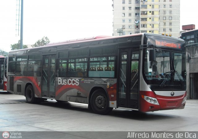Bus CCS 1239 por Alfredo Montes de Oca