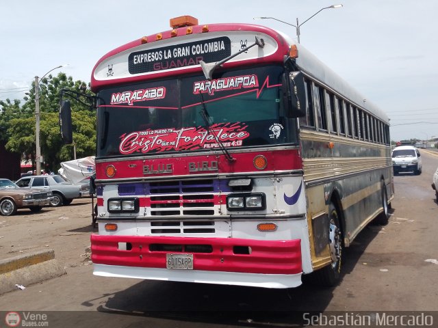 Expresos La Gran Colombia 37 por Sebastin Mercado