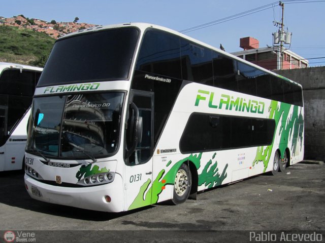 Expresos Flamingo 0131 por Pablo Acevedo