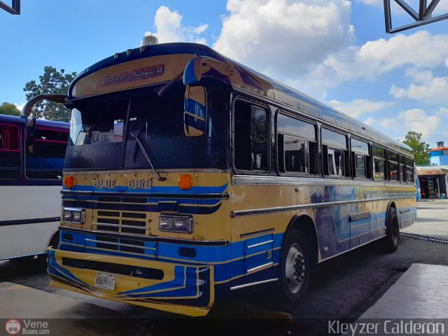 Expresos Juregui 043 por Kleyzer Caldern