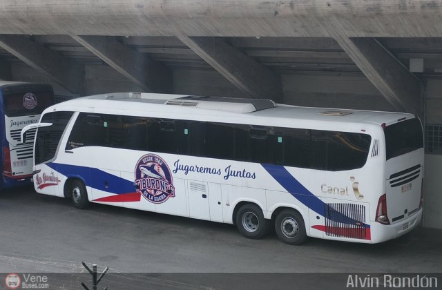 Tiburones de La Guaira B.B.C. 07 por Alvin Rond�n