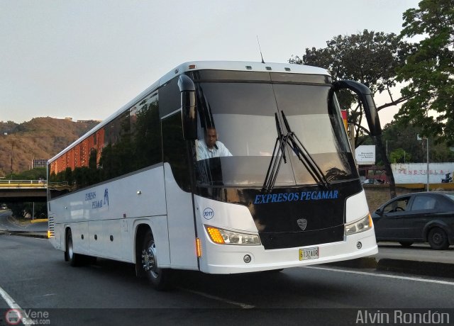 Expresos Pegamar 1011 por Alvin Rondn