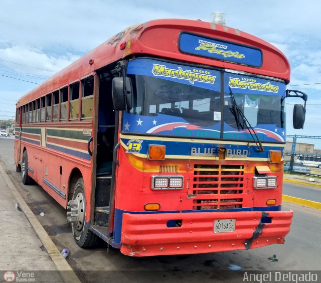 Colectivos Perij� 13 por �ngel Delgado