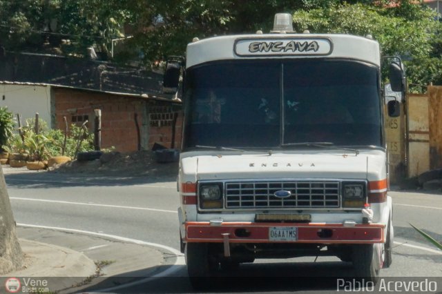 DC - Tigres de Plan de Manzano 108 por Pablo Acevedo