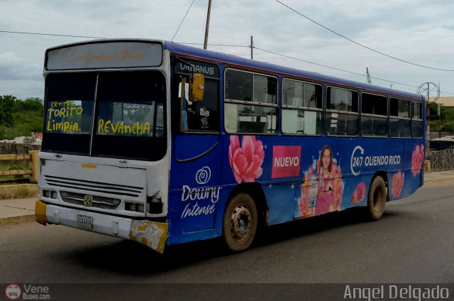 ZU - Colectivos La Limpia - La Estrella 040 por ngel Delgado