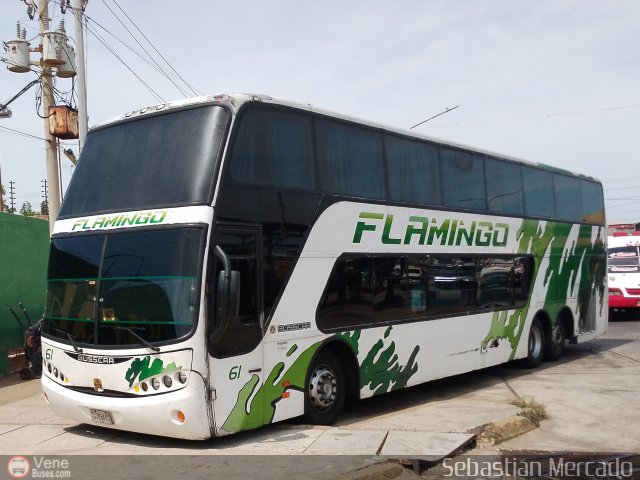 Expresos Flamingo 0061 por Sebastin Mercado