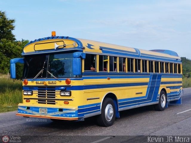 Particular o Desconocido 0050 por Kevin Mora