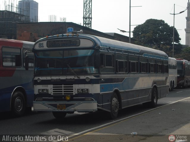 Transporte Colectivo Palo Negro 81 por Alfredo Montes de Oca