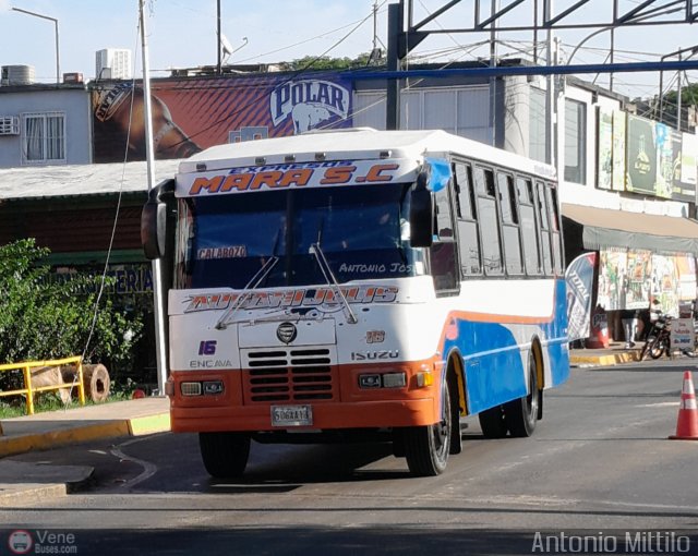 S.C. Expresos Mara 016 por Antonio Mittilo