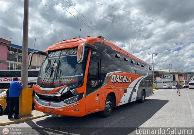 Tax Gacela 010 por Leonardo Saturno