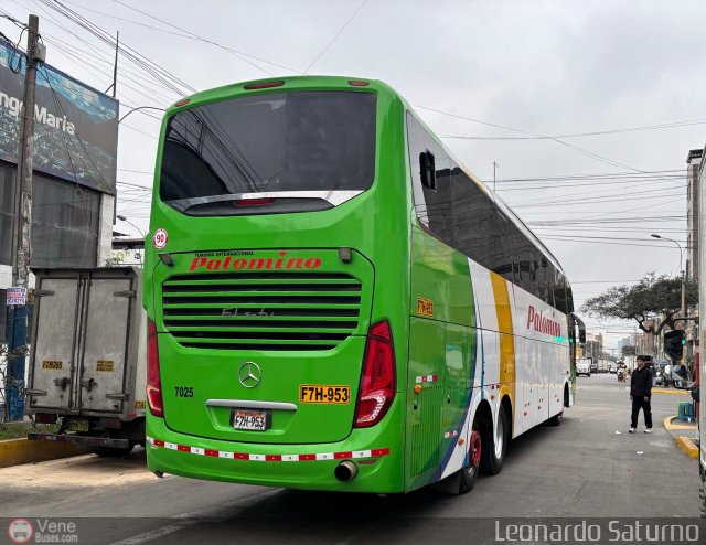 Expreso Internacional Palomino 7025 por Leonardo Saturno