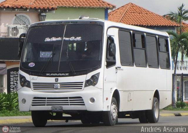 Los Libertadores C.A. 20 por Andr�s Ascanio