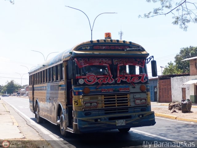 Transporte Guacara 0075 por Aly Baranauskas