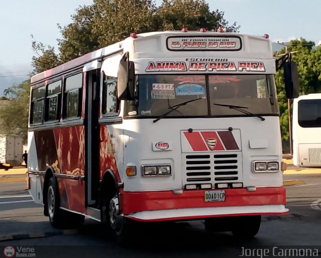 AR - S.C. Caña de Azúcar 048 por Jorge Carmona