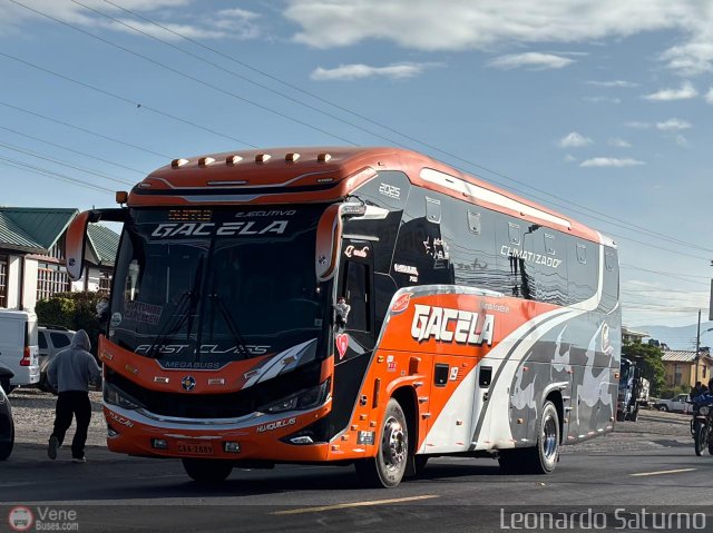 Foto �nibus Brasil.com, por Leonardo Saturno