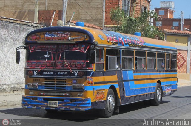 Cooperativa Carlos Arvelo 39 por Andr�s Ascanio