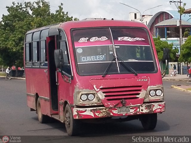 ZU - Los Claveles 19 por Sebastin Mercado