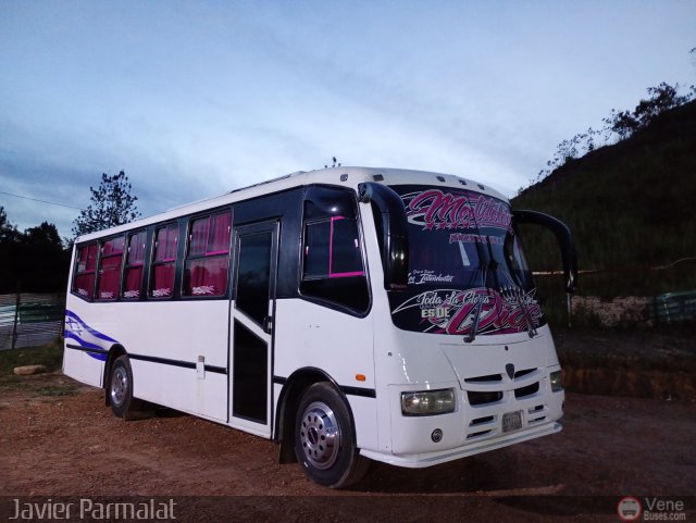 Grupo de Transporte Los Intendentes 005 por Javier Arretureta