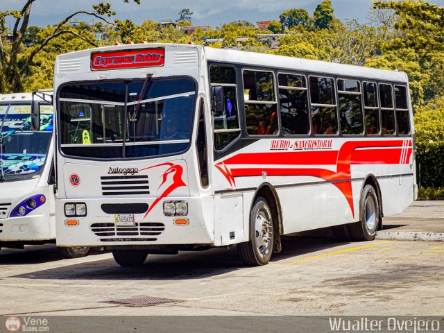 Expresos Rubio 16 por Wualter Ovejero