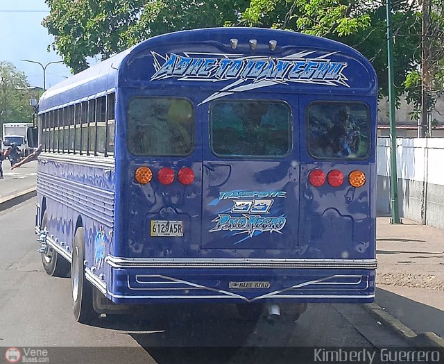 Transporte Palo Negro La Morita 2 099 por Kimberly Guerrero