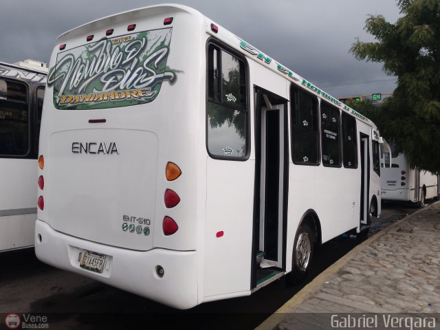 Organizacin Guaicamacuto 262 por Gabriel Vergara