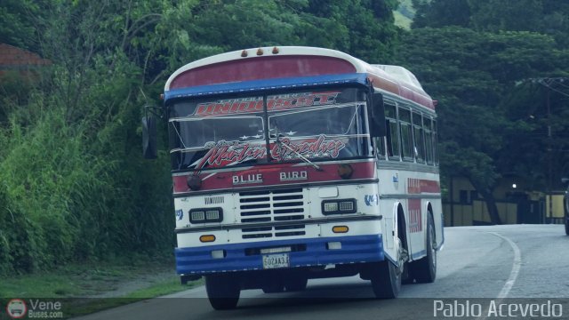 Uni�n de Conductores Unidos S.C. 103-A por Pablo Acevedo