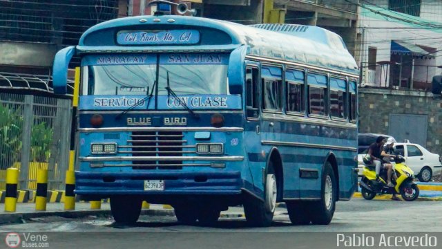 Colectivos Transporte Maracay C.A. 19 por Pablo Acevedo
