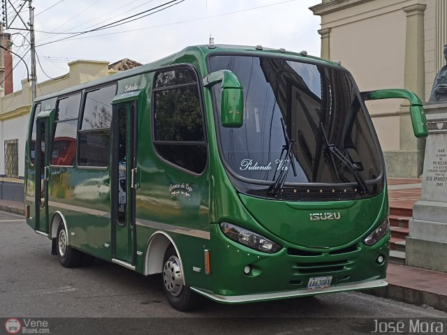 Particular o Desconocido Michelena por José Mora