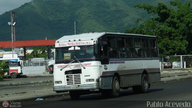 CA - Asociaci�n Coop. El Trigal R.L. 90 por Pablo Acevedo