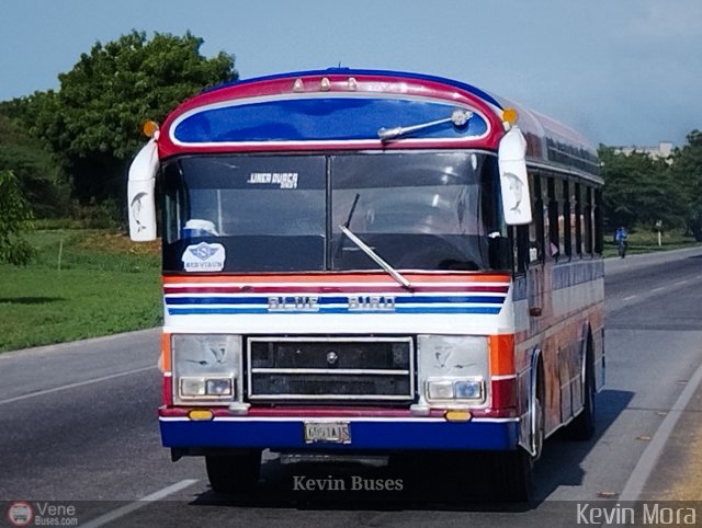 Línea Duaca 90 por Kevin Mora