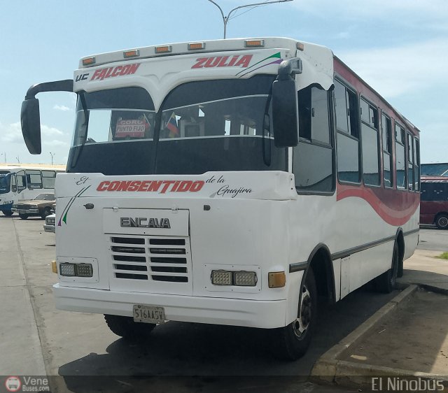 U.C. Falcn Zulia 28 por ngel Delgado