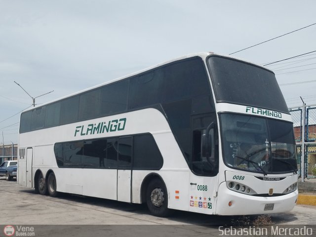 Expresos Flamingo 0088 por Sebastin Mercado