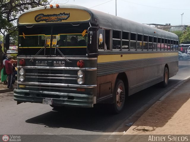 ZU - Colectivos Concepcin 104 por Abner Sarcos