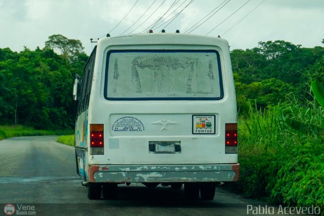 A.C. de Transporte Encarnaci�n 205 por Pablo Acevedo