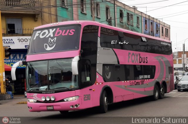Fox Bus 230 por Leonardo Saturno