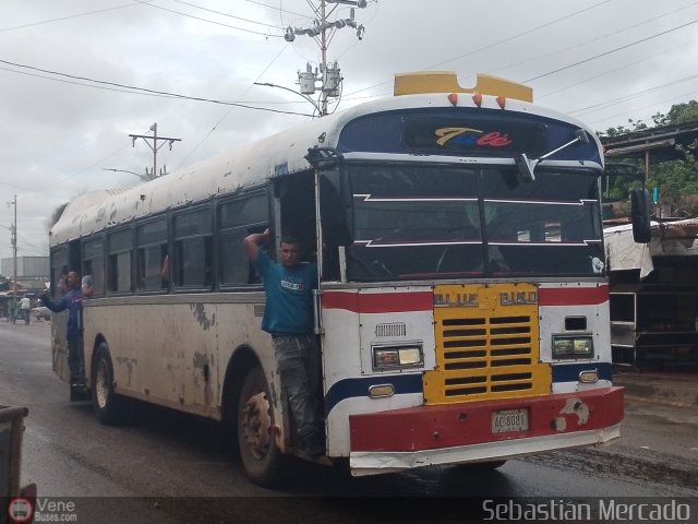 Colectivos Tul C.A. 19 por Sebastin Mercado