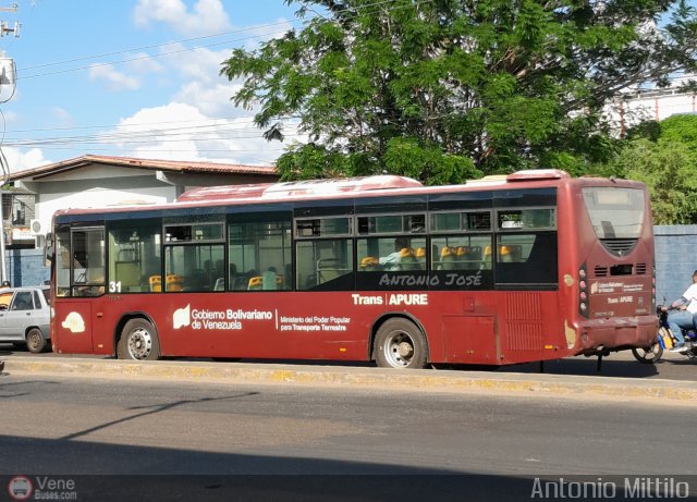 TransApure 31 por Antonio Mittilo