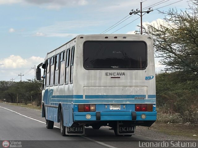 Particular o Desconocido 18 por Leonardo Saturno