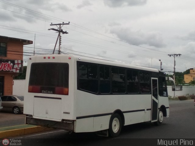 A.C. de Transporte Macizo Guayan�s 01 por Miguel Pino