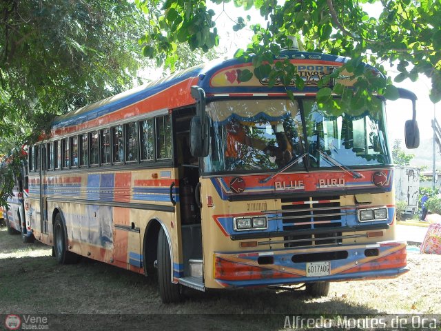 Transporte Colectivo Camag 01 por Alfredo Montes de Oca