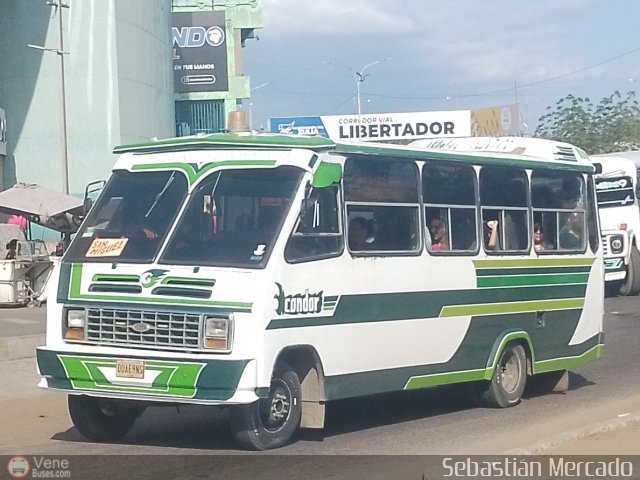 ZU - Los Claveles 15 por Sebastin Mercado