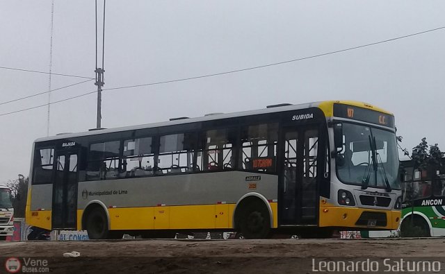 Perú Bus Internacional - Corredor Amarillo 2028 por Leonardo Saturno