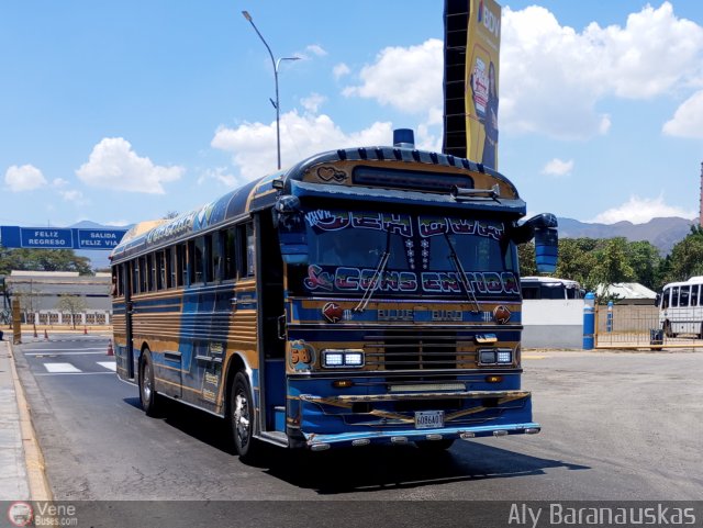 Transporte Guacara 0058 por Aly Baranauskas