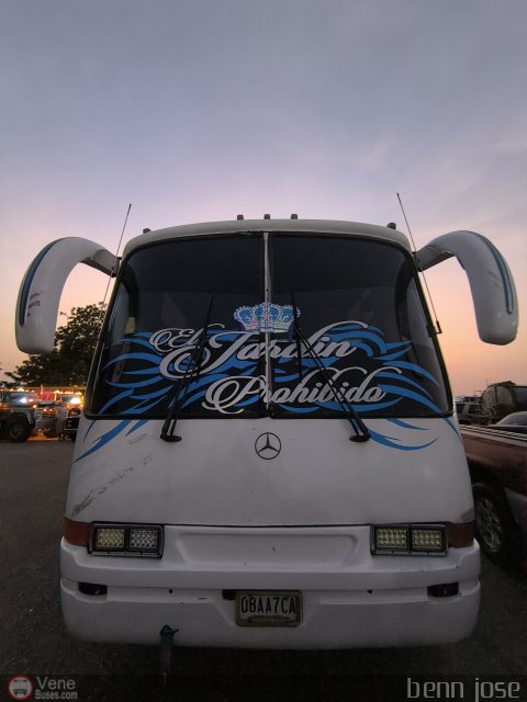 Particular Servibus por Benjamin Magdaniel