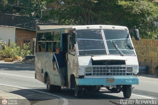 DC - Tigres de Plan de Manzano 205 por Pablo Acevedo